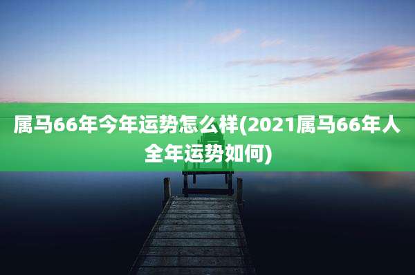 属马66年今年运势怎么样(2021属马66年人全年运势如何)