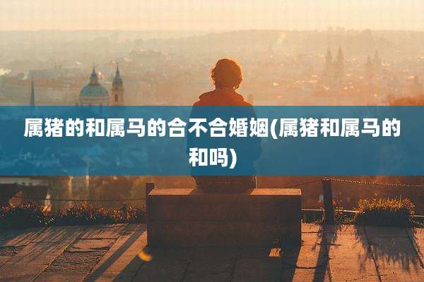 属猪的和属马的合不合婚姻(属猪和属马的和吗)