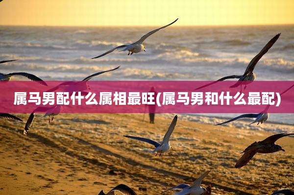 属马男配什么属相最旺(属马男和什么最配)