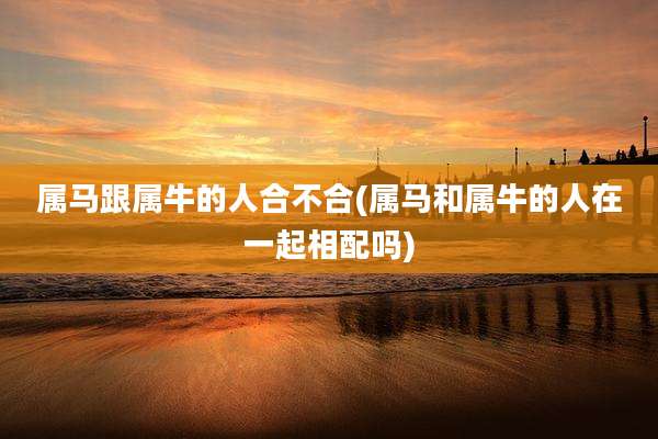 属马跟属牛的人合不合(属马和属牛的人在一起相配吗)