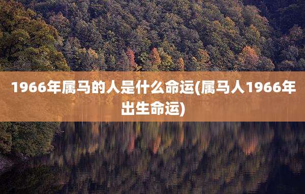1966年属马的人是什么命运(属马人1966年出生命运)
