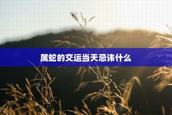 属蛇的交运当天忌讳什么