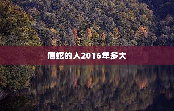 属蛇的人2016年多大