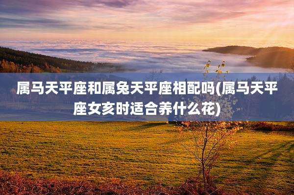 属马天平座和属兔天平座相配吗(属马天平座女亥时适合养什么花)