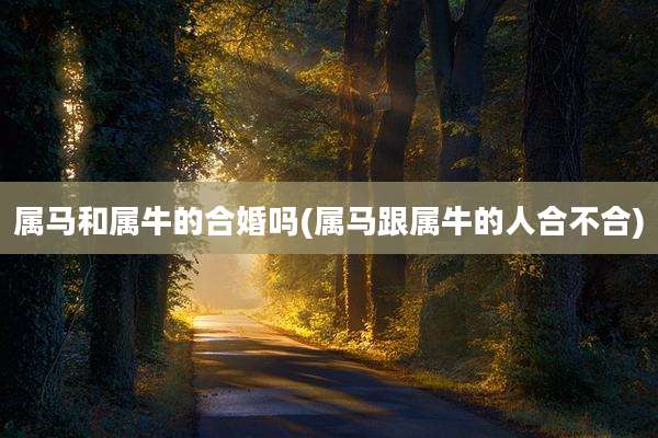 属马和属牛的合婚吗(属马跟属牛的人合不合)