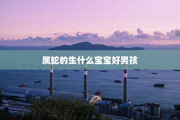 属蛇的生什么宝宝好男孩