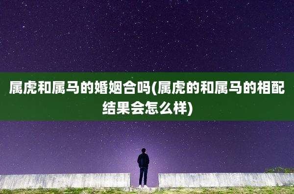 属虎和属马的婚姻合吗(属虎的和属马的相配结果会怎么样)