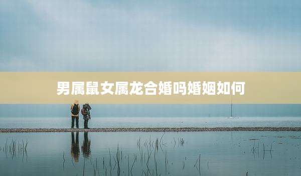 男属鼠女属龙合婚吗婚姻如何