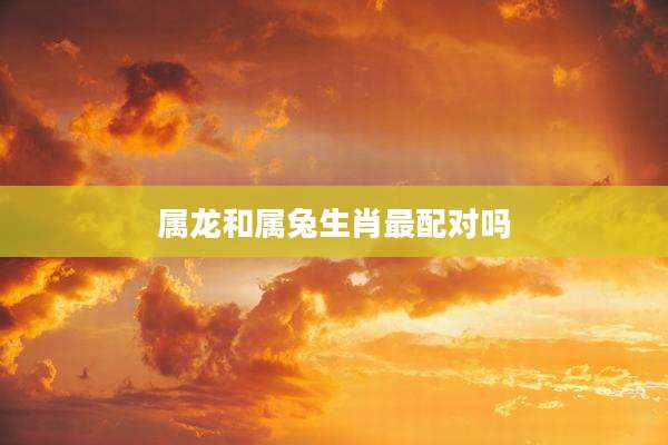 属龙和属兔生肖最配对吗