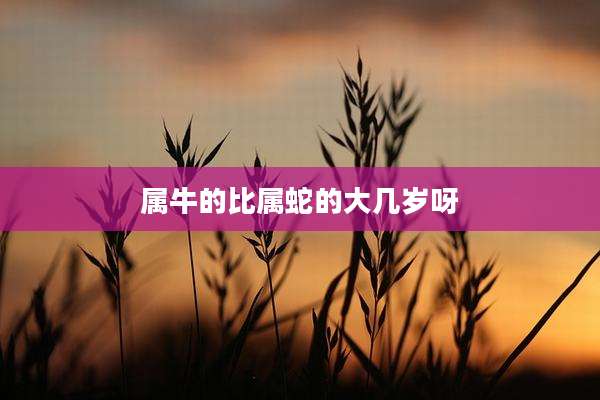 属牛的比属蛇的大几岁呀