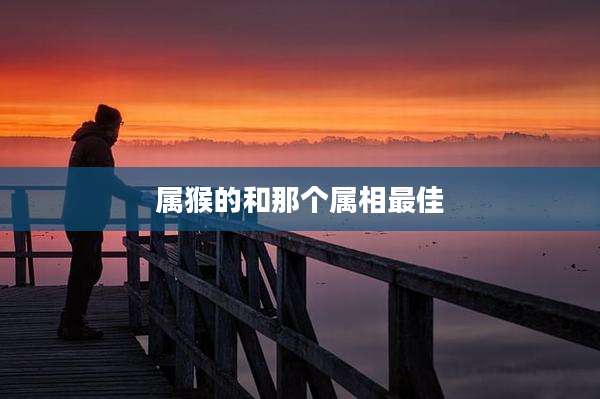 属猴的和那个属相最佳