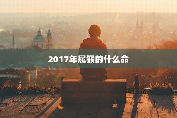 2017年属猴的什么命
