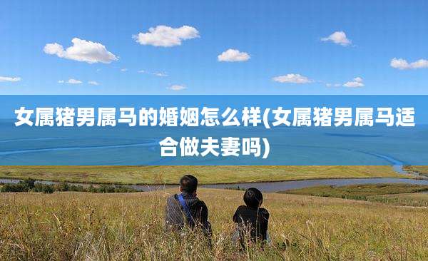 女属猪男属马的婚姻怎么样(女属猪男属马适合做夫妻吗)