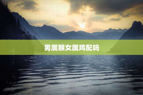 男属猴女属鸡配吗