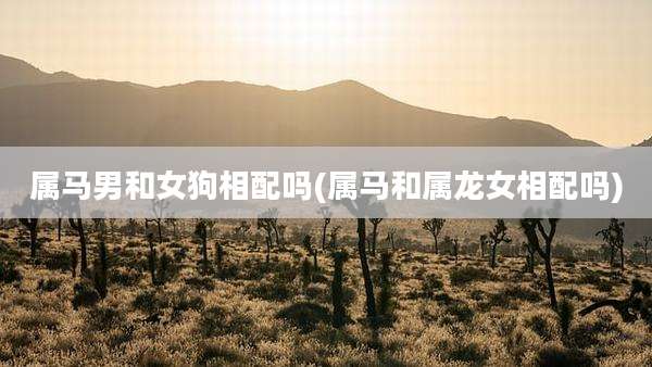 属马男和女狗相配吗(属马和属龙女相配吗)