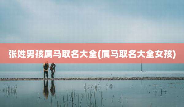 张姓男孩属马取名大全(属马取名大全女孩)
