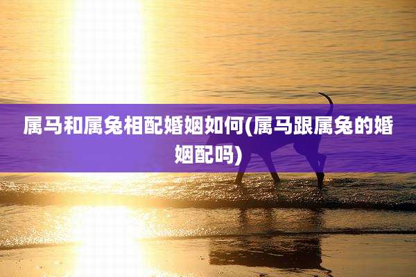 属马和属兔相配婚姻如何(属马跟属兔的婚姻配吗)