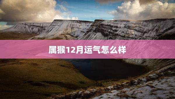 属猴12月运气怎么样