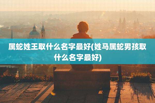 属蛇姓王取什么名字最好(姓马属蛇男孩取什么名字最好)