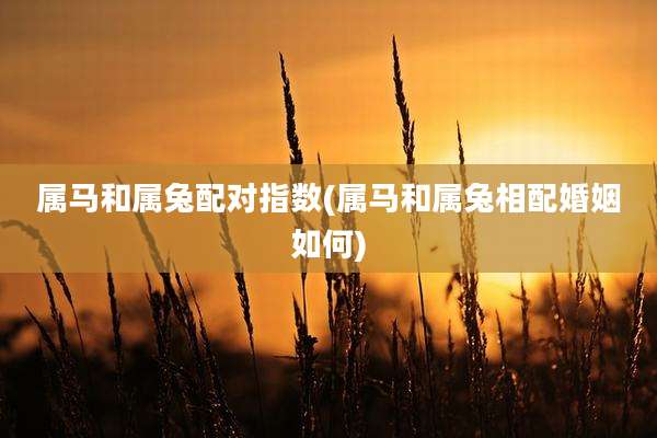 属马和属兔配对指数(属马和属兔相配婚姻如何)