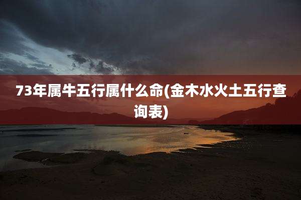 73年属牛五行属什么命(金木水火土五行查询表)