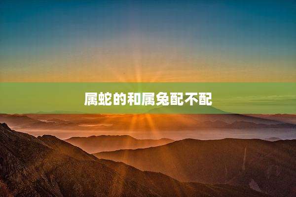 属蛇的和属兔配不配