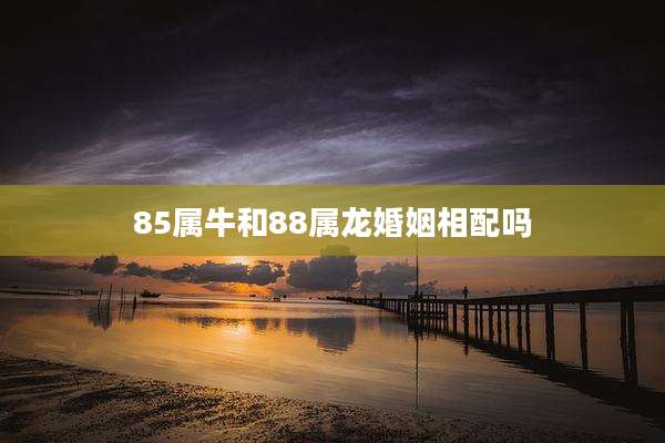 85属牛和88属龙婚姻相配吗