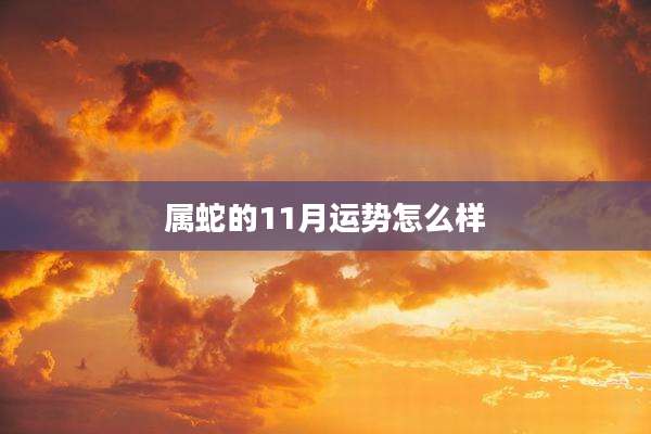 属蛇的11月运势怎么样