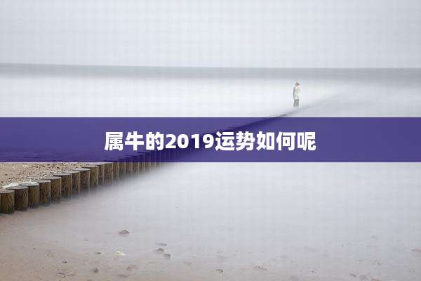属牛的2019运势如何呢