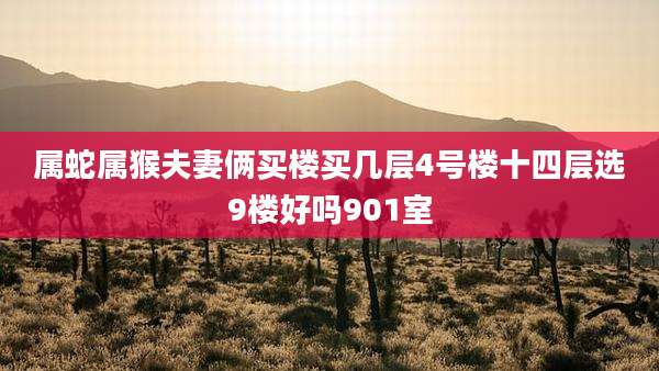属蛇属猴夫妻俩买楼买几层4号楼十四层选9楼好吗901室