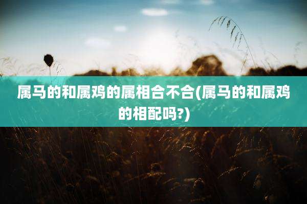 属马的和属鸡的属相合不合(属马的和属鸡的相配吗?)