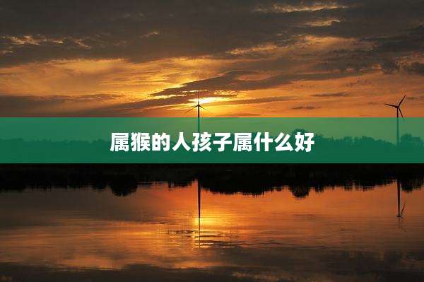 属猴的人孩子属什么好