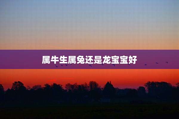 属牛生属兔还是龙宝宝好