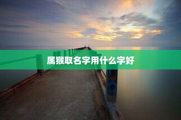 属猴取名字用什么字好