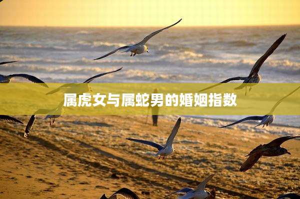 属虎女与属蛇男的婚姻指数