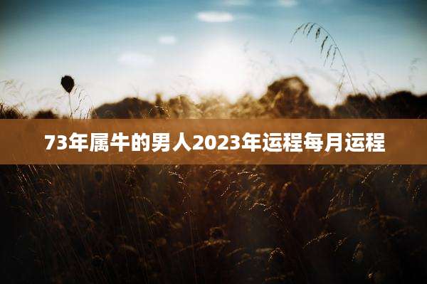 73年属牛的男人2023年运程每月运程