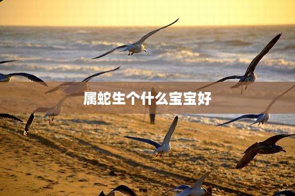 属蛇生个什么宝宝好