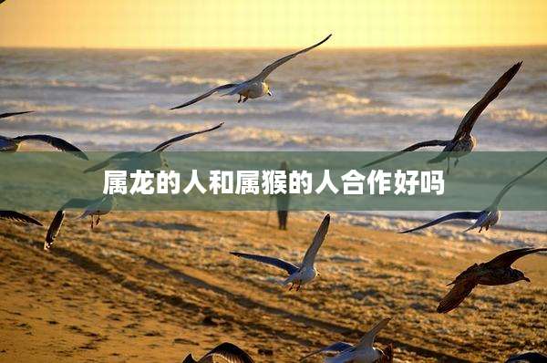 属龙的人和属猴的人合作好吗