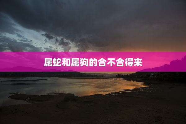 属蛇和属狗的合不合得来