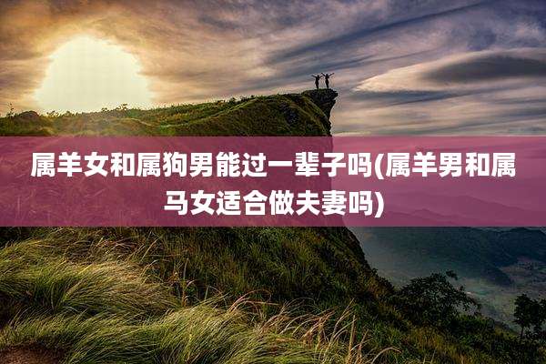 属羊女和属狗男能过一辈子吗(属羊男和属马女适合做夫妻吗)