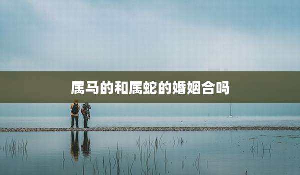 属马的和属蛇的婚姻合吗