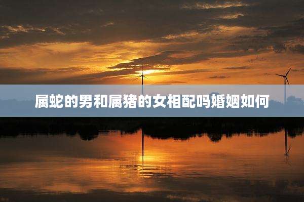 属蛇的男和属猪的女相配吗婚姻如何