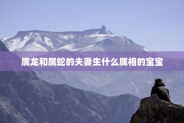 属龙和属蛇的夫妻生什么属相的宝宝