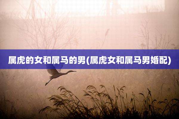 属虎的女和属马的男(属虎女和属马男婚配)