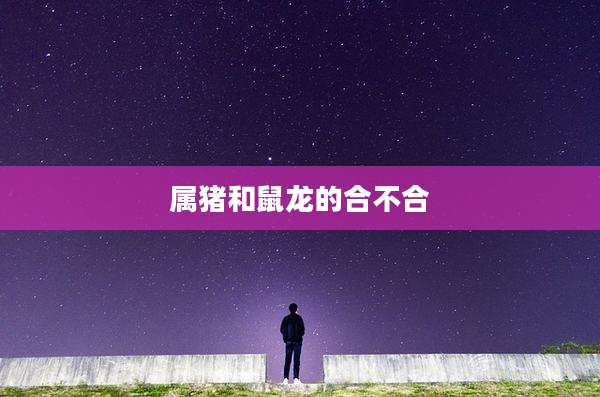 属猪和鼠龙的合不合
