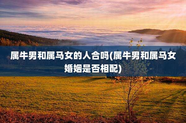 属牛男和属马女的人合吗(属牛男和属马女婚姻是否相配)