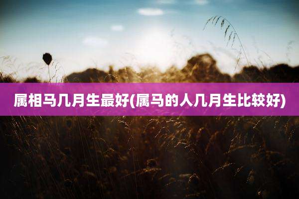 属相马几月生最好(属马的人几月生比较好)