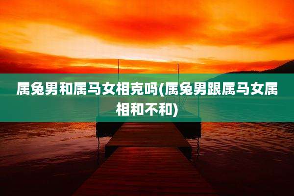 属兔男和属马女相克吗(属兔男跟属马女属相和不和)