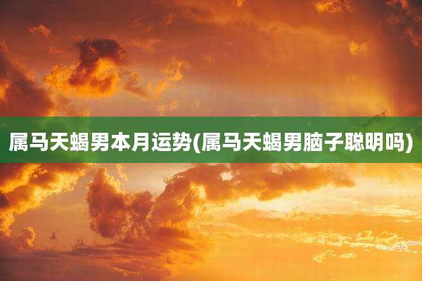 属马天蝎男本月运势(属马天蝎男脑子聪明吗)