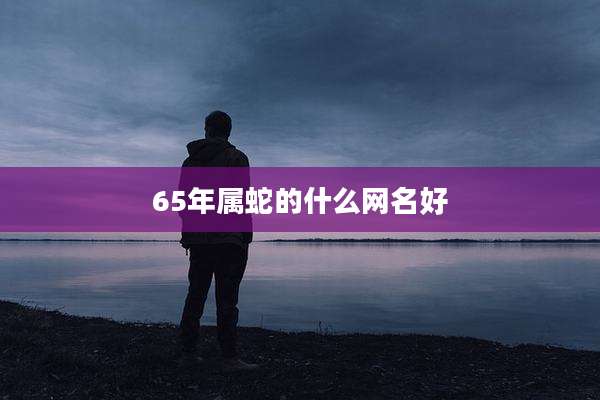 65年属蛇的什么网名好